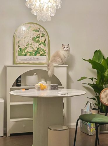 Tủ trang trí dáng vòm độc đáo GHT-5319 photo review