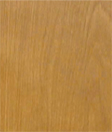 Sồi sáng